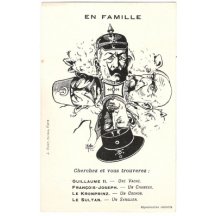 One family - Franz Joseph, Wilhelm, crown prince and sultan