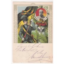 Franz Josef , the symbols of empire , a soldier with a flag