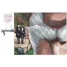 A postcard from a POSTCARD IMAGE of Franz Joseph