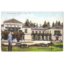 Emperor Franz Joseph before his imperial villa , Bad Ischl