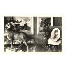 Paintings and trophies in room