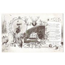 Franz Joseph in hunting suit and view to castle Offensee