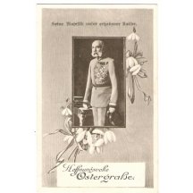 Franz Josef v rámečku, speciální zpracování