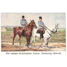 Oba císaři Franz Joseph a Wilhelm, Světová válka 1914-1915