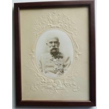 Picture - Franz Josef