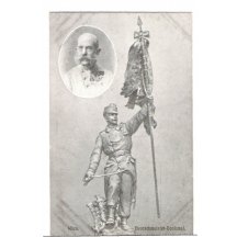 Voják vyzdvyhuje vlajku na počest císaře