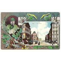 Franz Joseph - hunting topics and view to Vienna