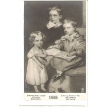 Franz Joseph I. and his cousins Ferdinand Max and Carl Ludwig