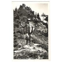 Memorial of Franz Joseph in Walster