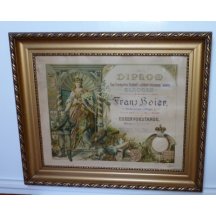 Diploma with Franz Joseph's litografic medal