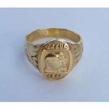 Viribus Unitis a Gott mit uns 