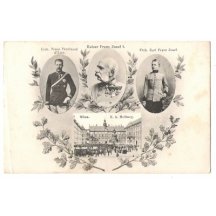 Franz Ferdinand ďEste, Franz Josef a Carl- Hofburg