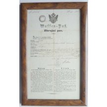 Firearms license for weapons