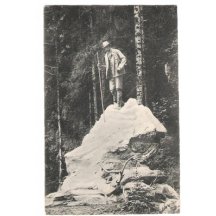 A bronze statue of Franz Joseph with killed deer , wood in Bad Ischl