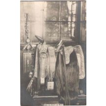 Harness horses of MexicaneEmperor Maximilian / brother of Franz Joseph