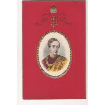 Portrait of young Franz Joseph