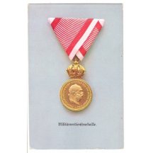 Medal for merits in war , Signum Laudis