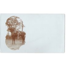 Na koni je císař Franz Joseph I.