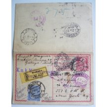  Austrian double stationery 