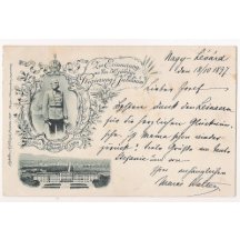 Portrait of emperor Franz Joseph - Passau