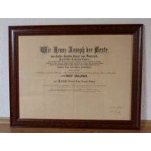  Franz Josef - JOSEF HAUER